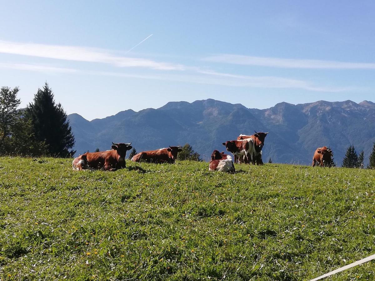 Brunarica Na Goreljeku Apartamento Bohinj Exterior foto