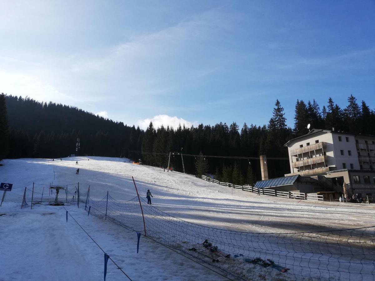 Brunarica Na Goreljeku Apartamento Bohinj Exterior foto