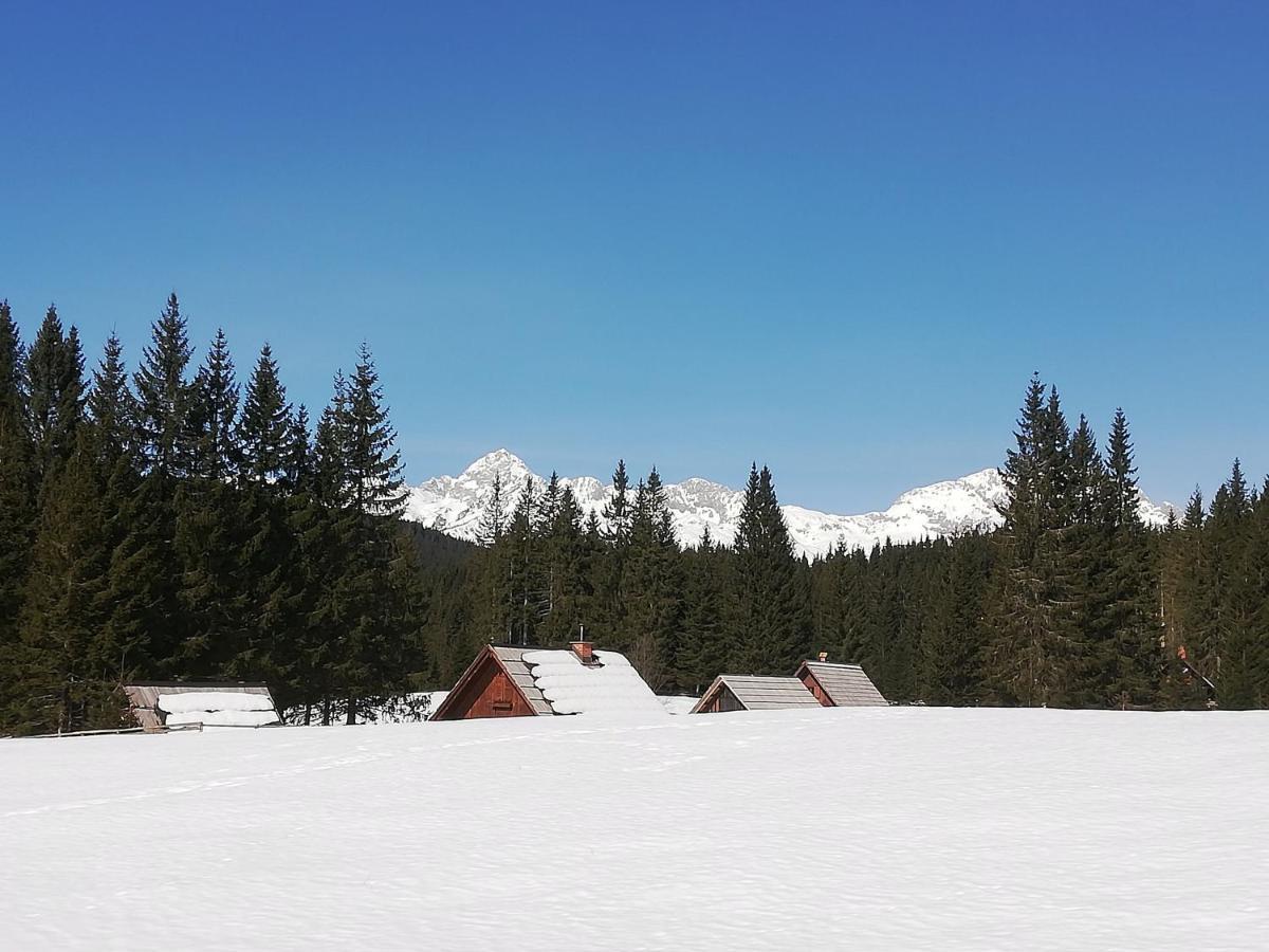 Brunarica Na Goreljeku Apartamento Bohinj Exterior foto