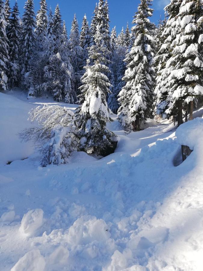 Brunarica Na Goreljeku Apartamento Bohinj Exterior foto