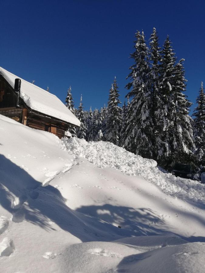 Brunarica Na Goreljeku Apartamento Bohinj Exterior foto