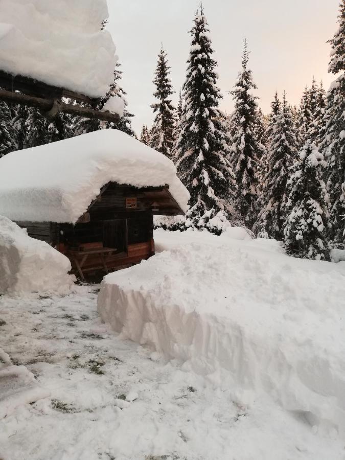 Brunarica Na Goreljeku Apartamento Bohinj Exterior foto