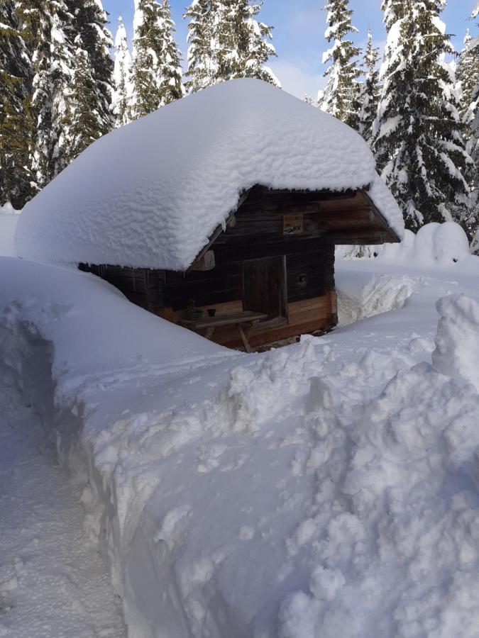 Brunarica Na Goreljeku Apartamento Bohinj Exterior foto