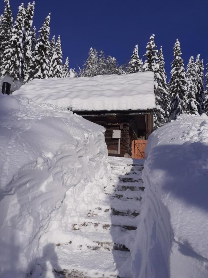 Brunarica Na Goreljeku Apartamento Bohinj Exterior foto