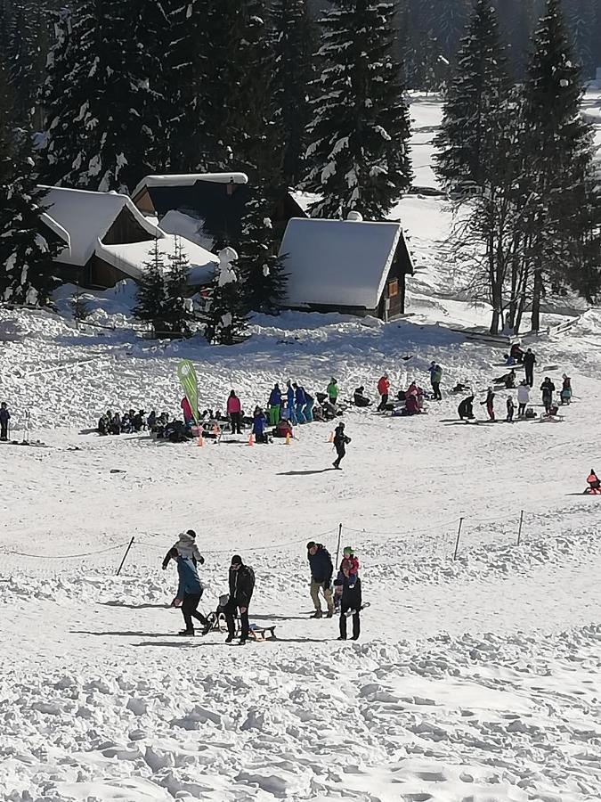 Brunarica Na Goreljeku Apartamento Bohinj Exterior foto