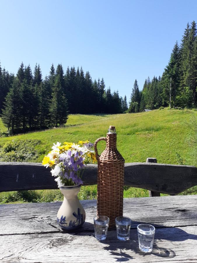 Brunarica Na Goreljeku Apartamento Bohinj Exterior foto