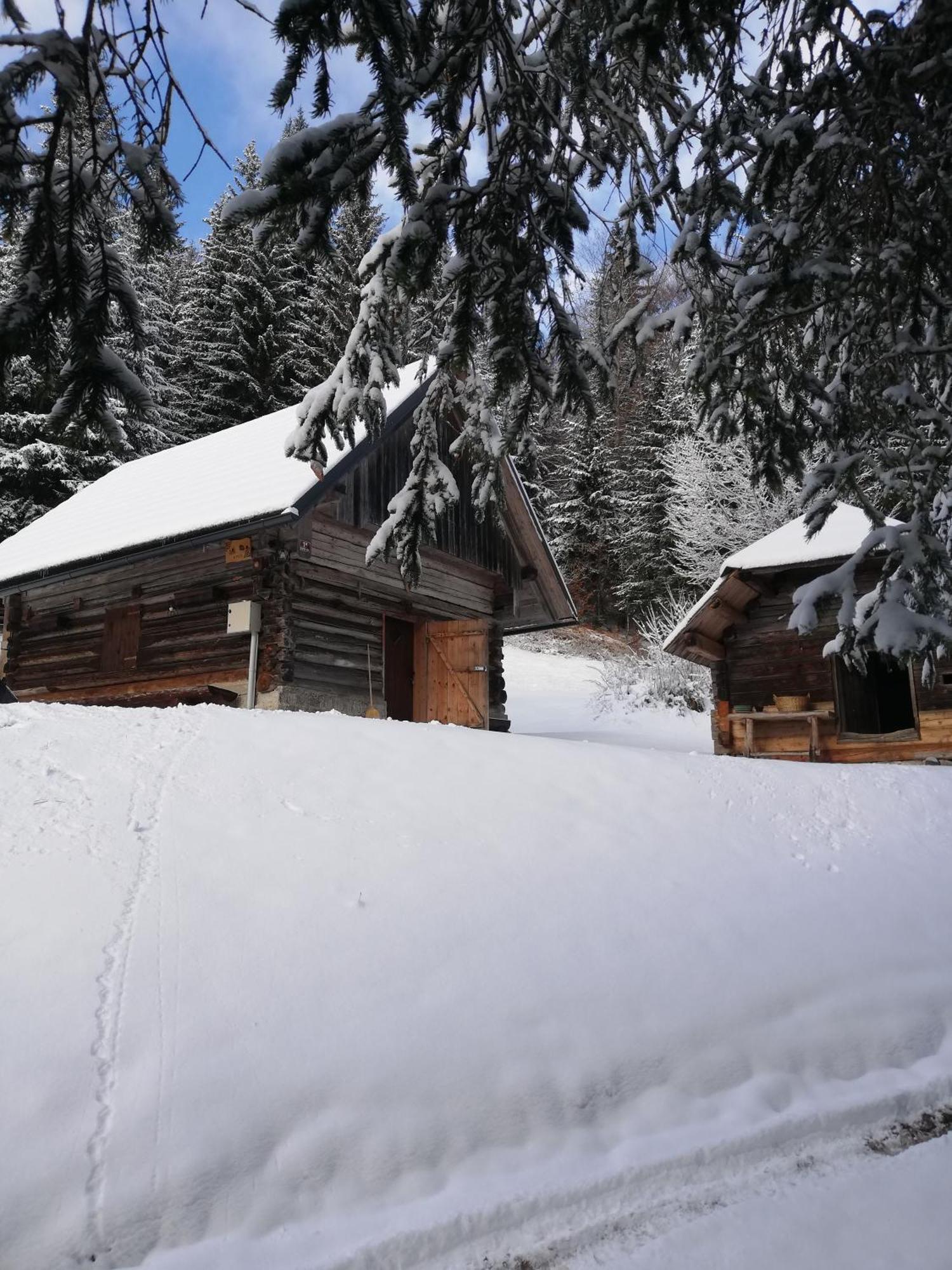 Brunarica Na Goreljeku Apartamento Bohinj Exterior foto